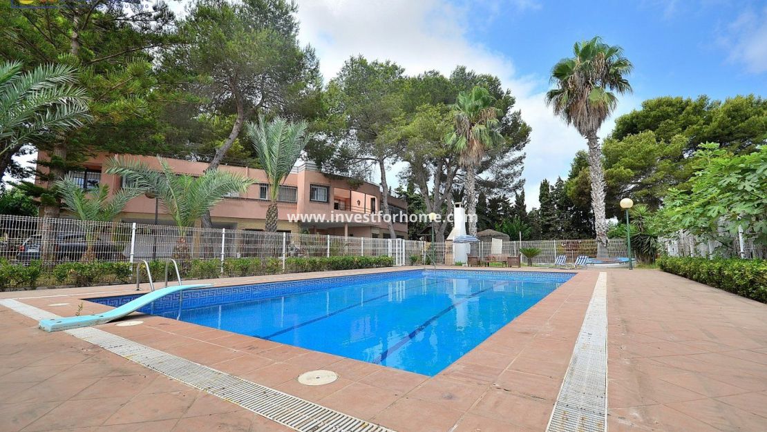 Försäljning - Villa - Torrevieja - Los Balcones