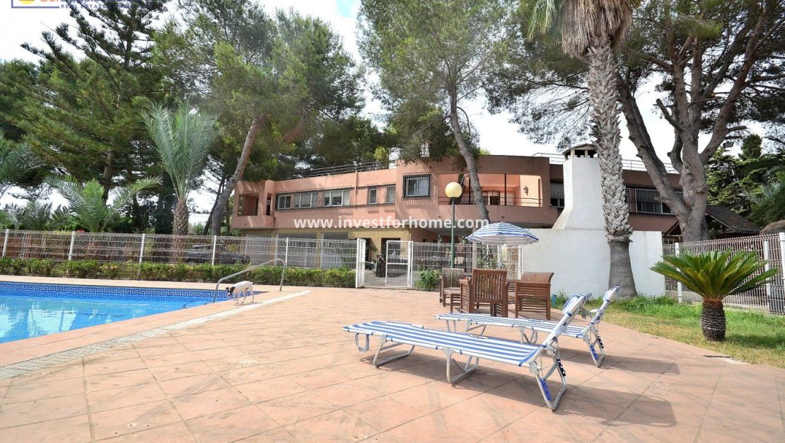 Försäljning - Villa - Torrevieja - Los Balcones