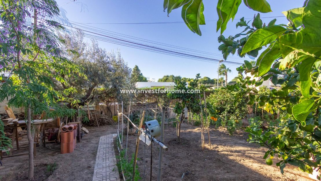 Försäljning - Villa - Torrevieja - Los Balcones