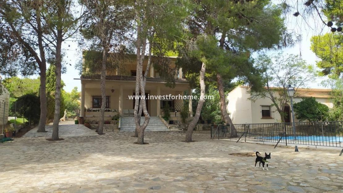 Försäljning - Villa - Torrevieja - Los Balcones