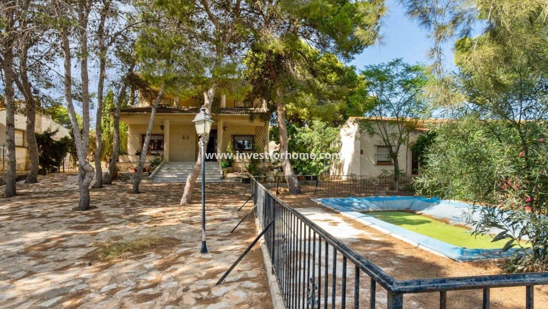 Försäljning - Villa - Torrevieja - Los Balcones