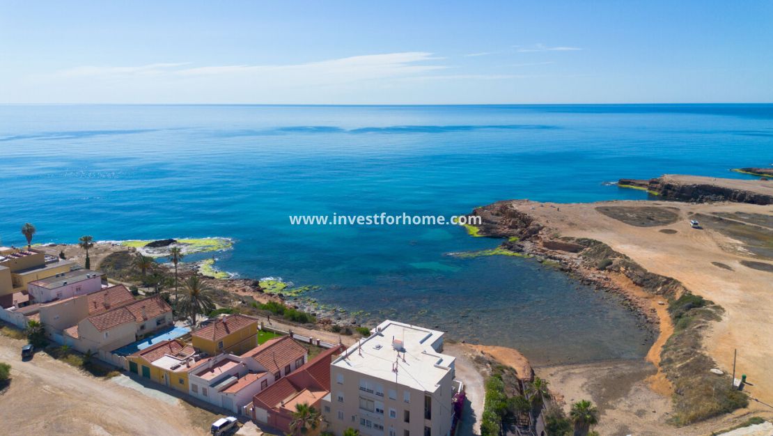 Försäljning - Villa - Torrevieja - Rosaleda