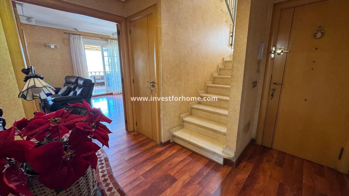 Försäljning - Villa - Torrevieja - Zona Los Frutales