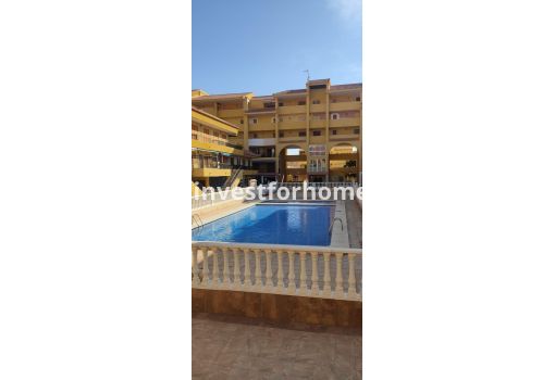 House - Sale - Torrevieja - Los Europeos