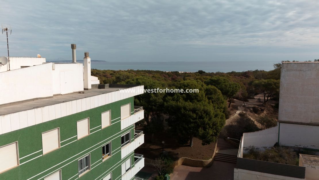New Build - Apartment - Guardamar del Segura