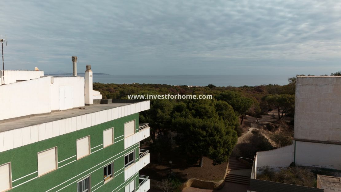 New Build - Apartment - Guardamar del Segura