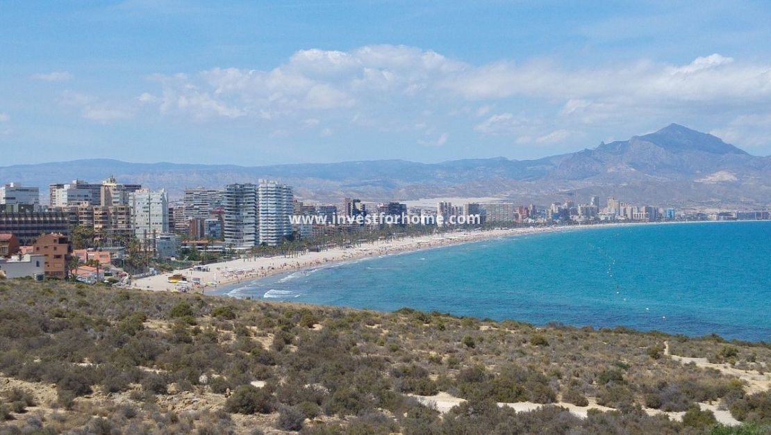 New Build - Apartment - San Juan de Alicante - Fran Espinos