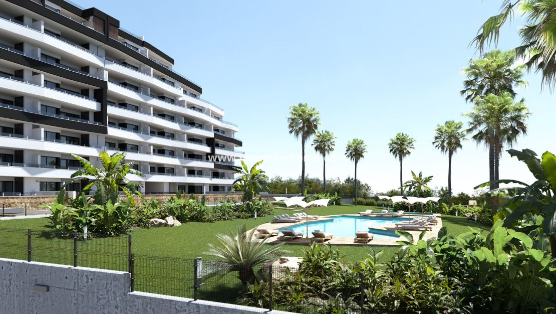 New Build - Apartment - San Miguel de Salinas