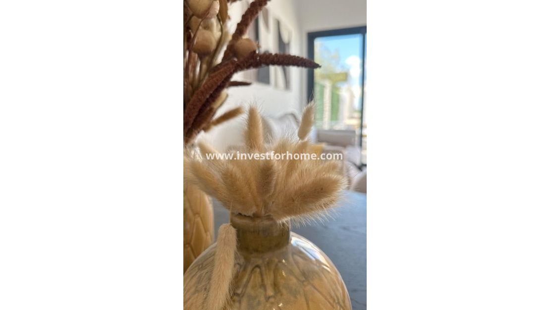 New Build - Bungalow - San Fulgencio - Pueblo