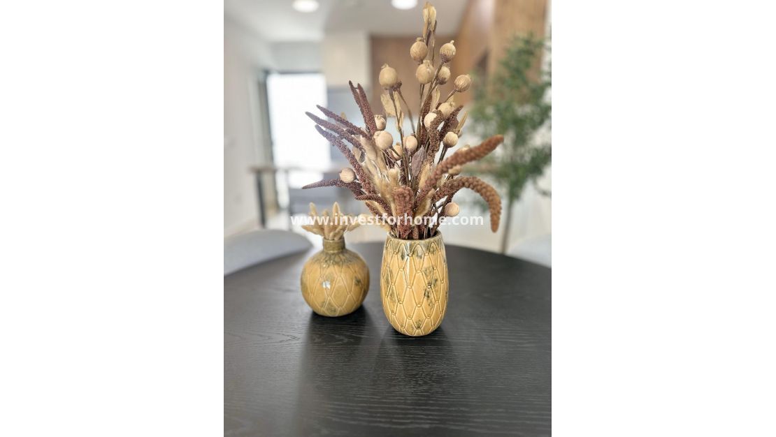 New Build - Bungalow - San Fulgencio - Pueblo