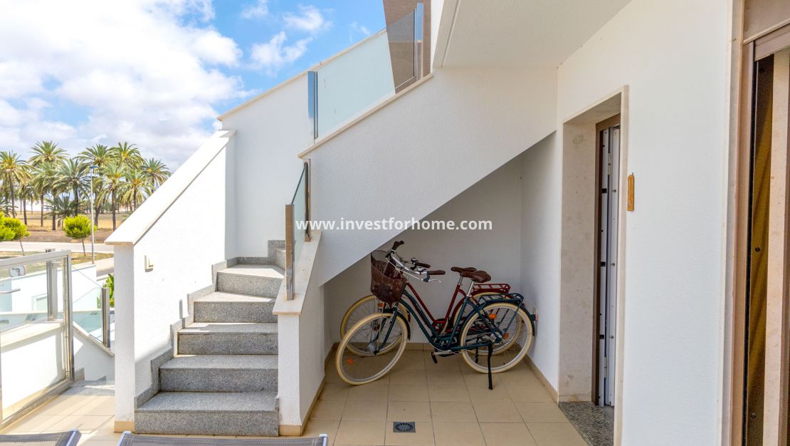 New Build - Bungalow - San Pedro del Pinatar - San Pedro del Pinatar pueblo