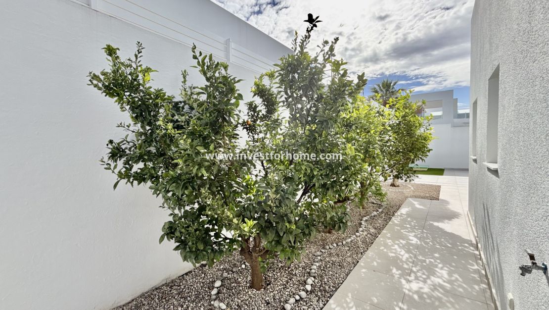 New Build - House - Benijofar