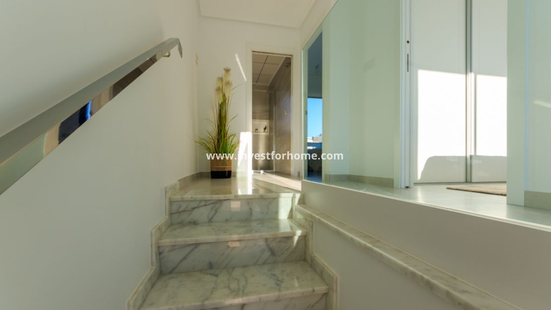 New Build - House - Pilar de la Horadada