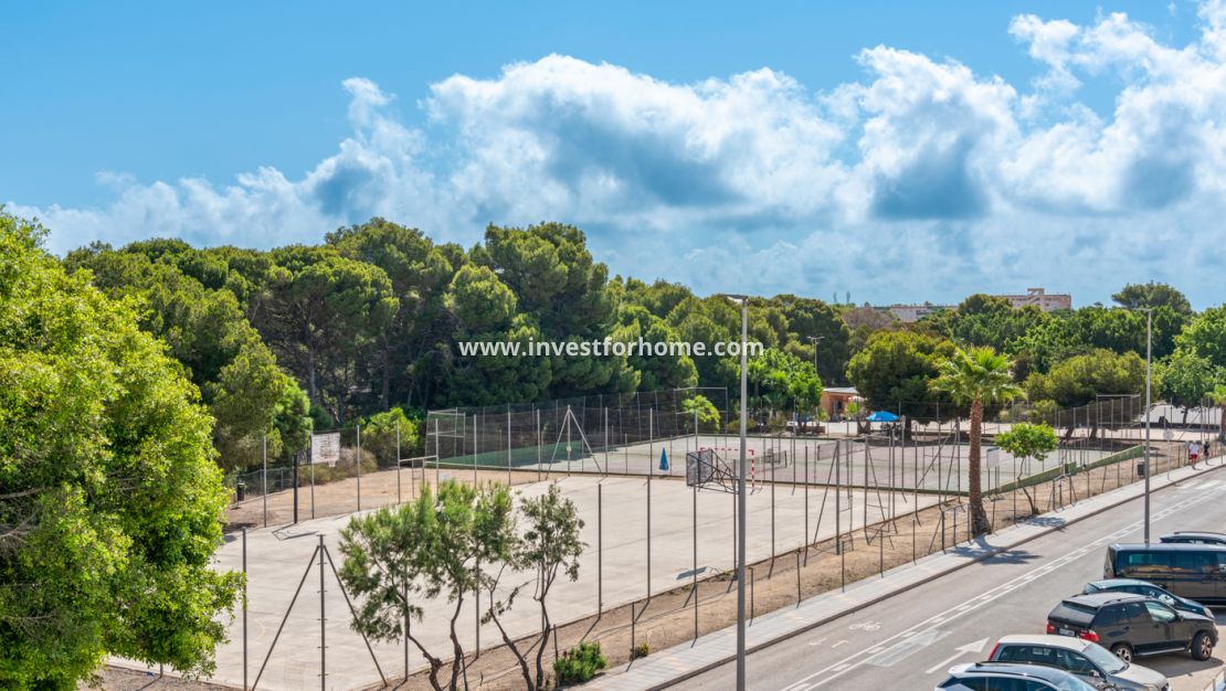 New Build - House - Pilar de la Horadada