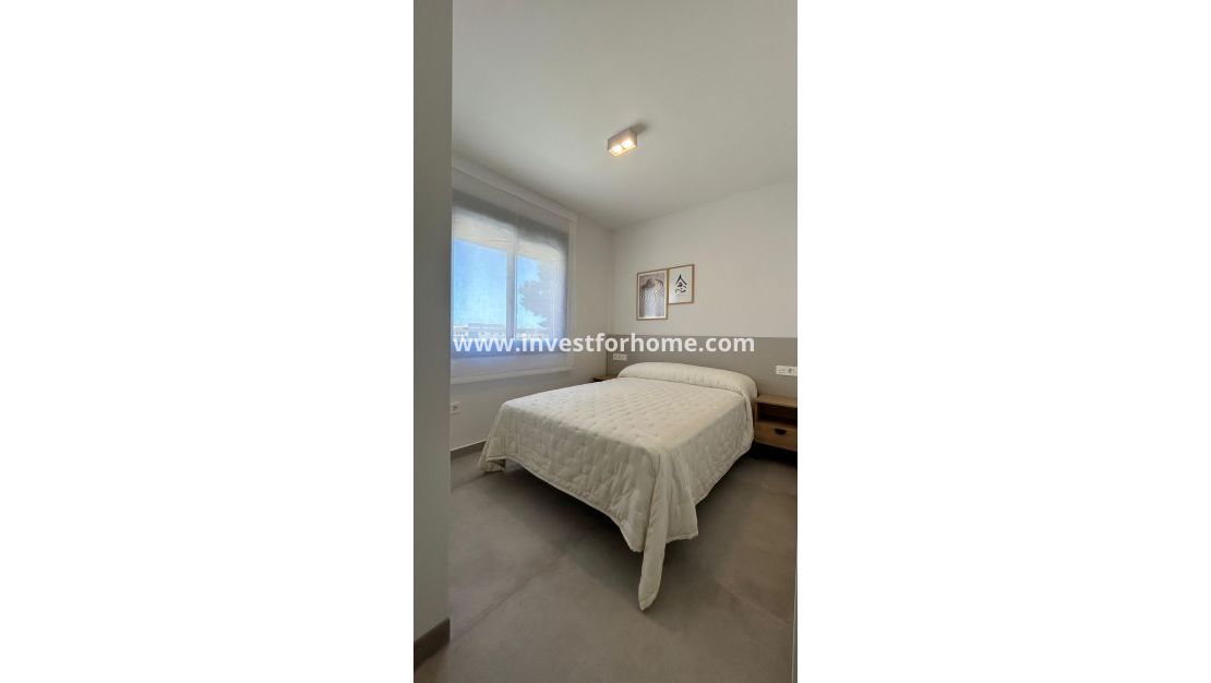 New Build - House - Pilar de la Horadada