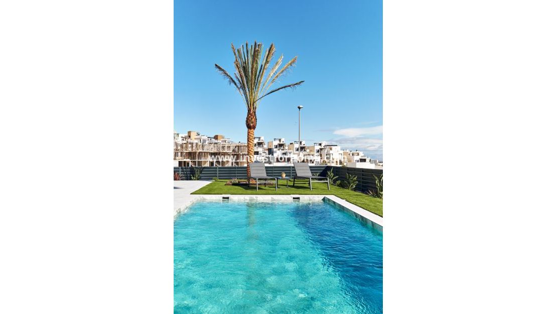 New Build - House - San Miguel de Salinas