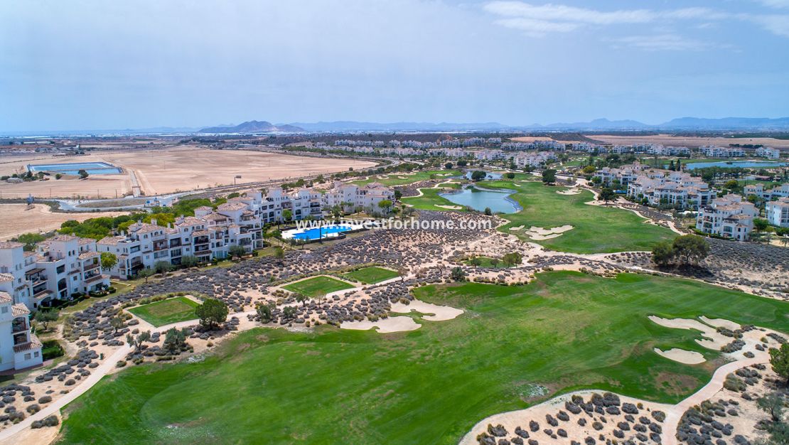 New Build - House - Sucina