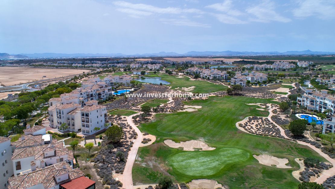 New Build - House - Sucina