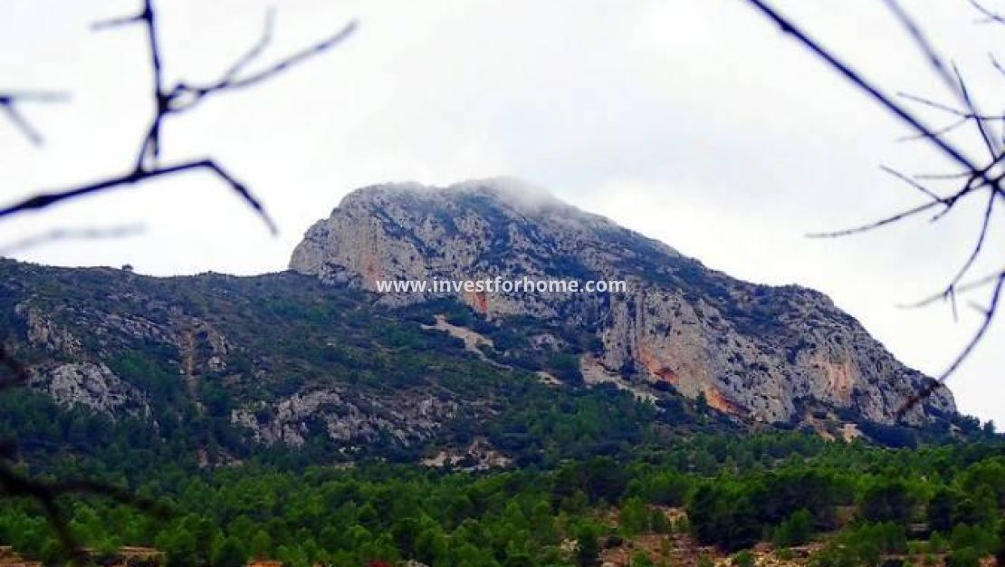 New Build - Villa - La Romana - Batistes