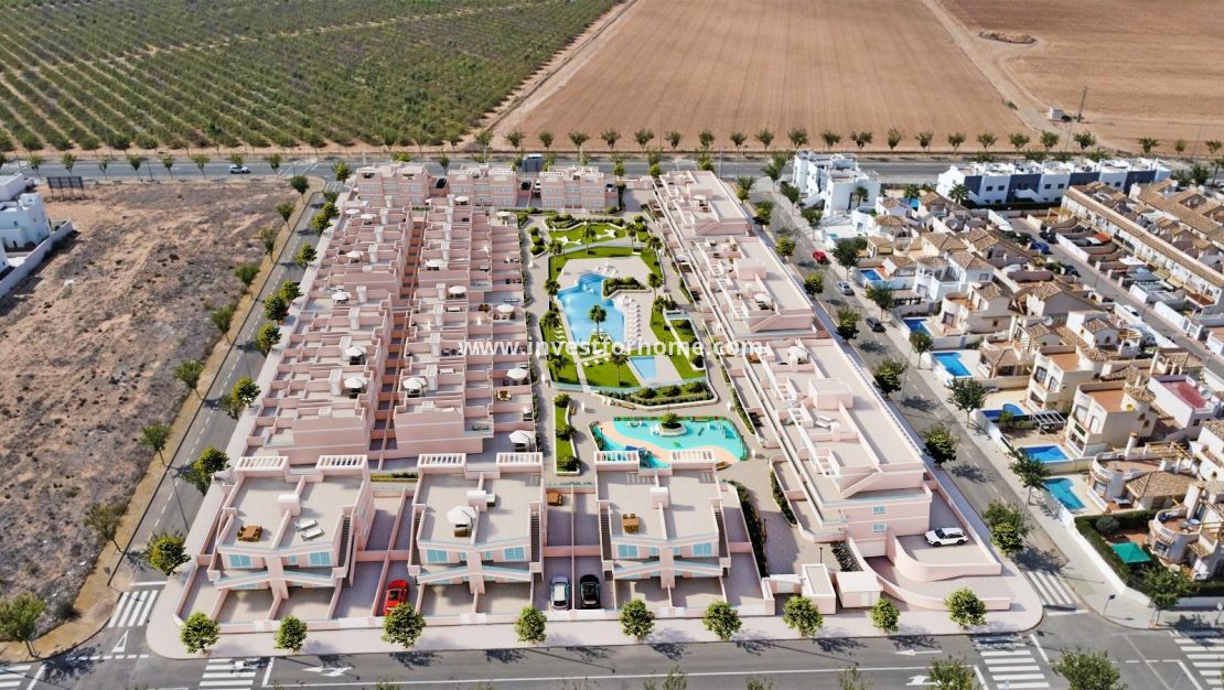 New Build - Villa - Pilar de la Horadada - Lo Monte