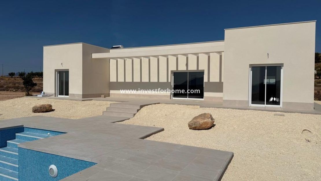 New Build - Villa - Pinoso - Camino Del Prado