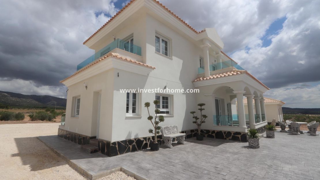 New Build - Villa - Pinoso - Camino Del Prado