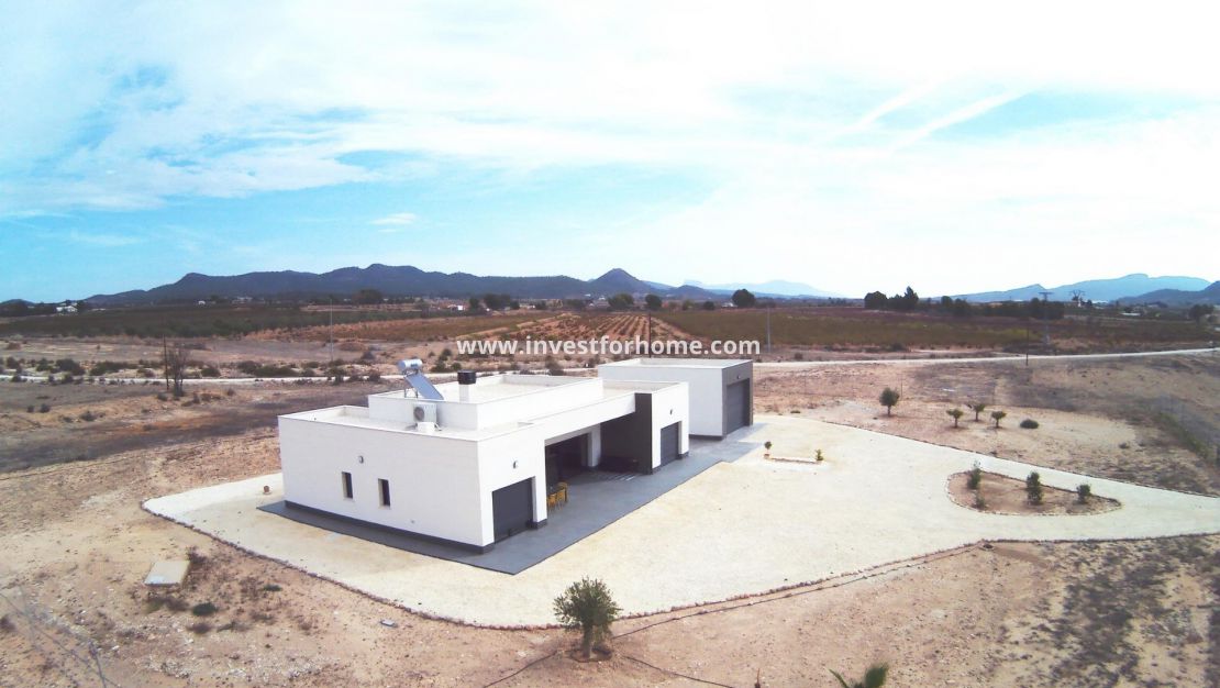 New Build - Villa - Pinoso - Camino Del Prado