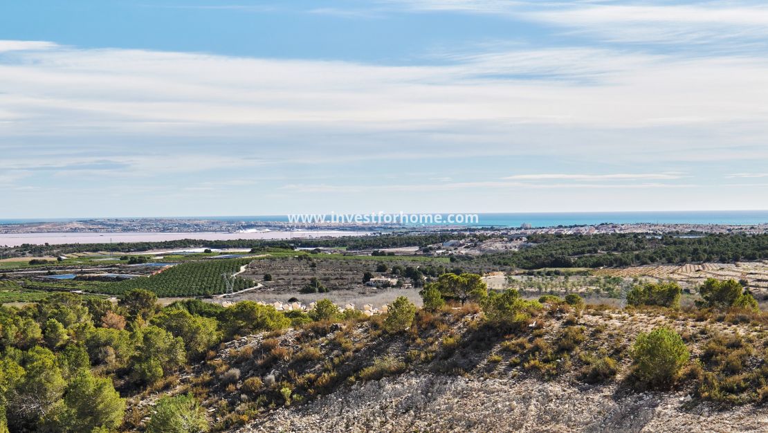 New Build - Villa - San Miguel de Salinas