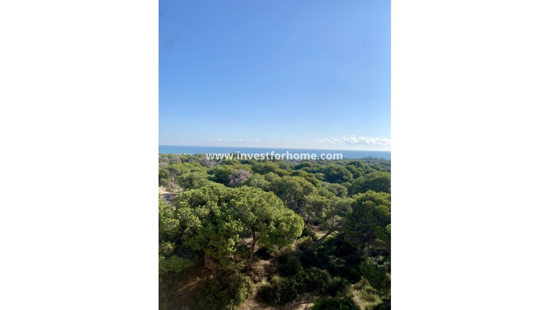 Nieuwbouw - Appartement - Guardamar del Segura