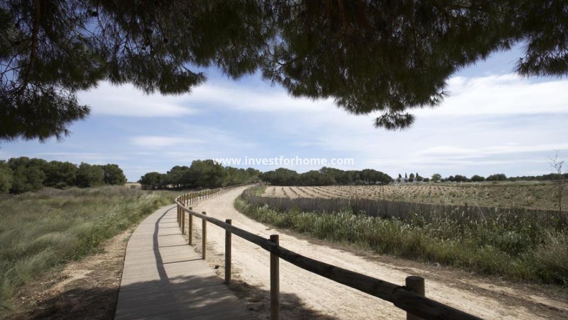 Nieuwbouw - Huis - Torrevieja - aguas nuevas