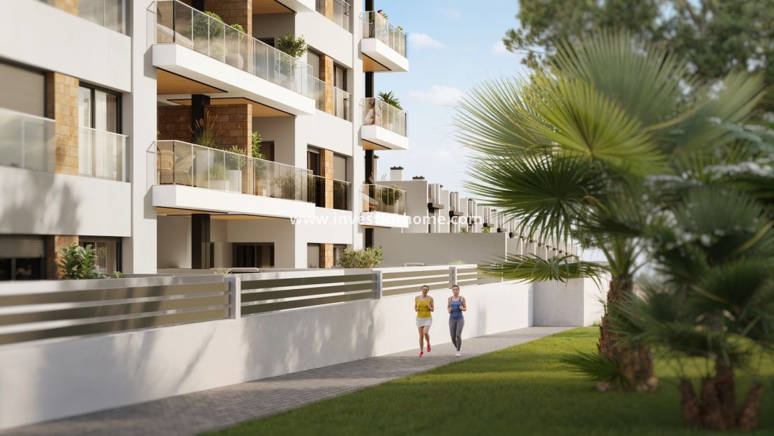 Nieuwbouw - Huis - Torrevieja - Centro