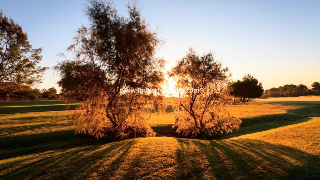 Nieuwbouw - Villa - Pilar de la Horadada - Lo Romero Golf