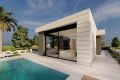 Nieuwbouw - Villa - Pilar de la Horadada