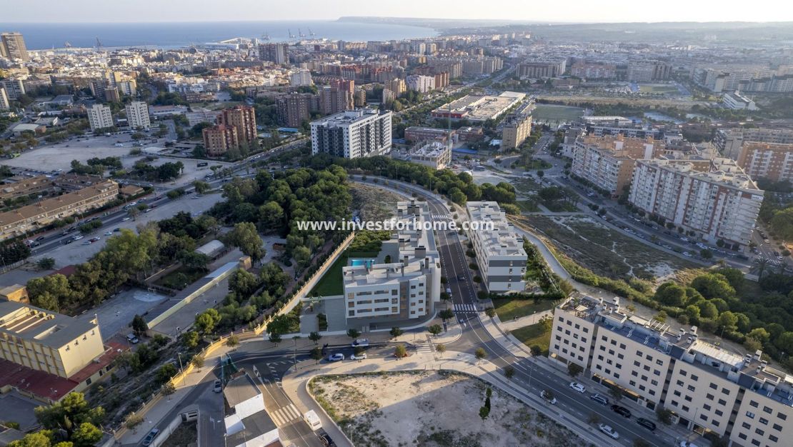 Nouvelle construction - Appartement - Alicante - San Agustín-PAU 2