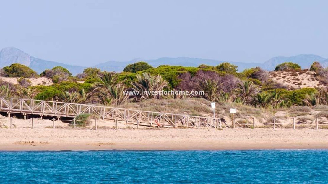 Nouvelle construction - Appartement - Guardamar del Segura - Pueblo