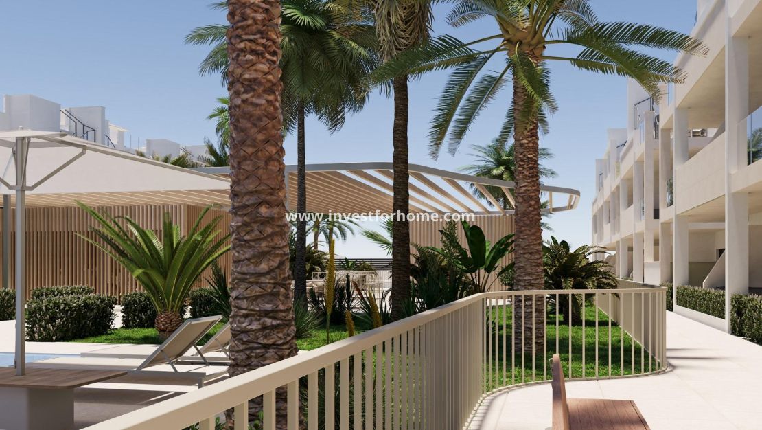 Nouvelle construction - Appartement - Los Alcázares - San Cayetano