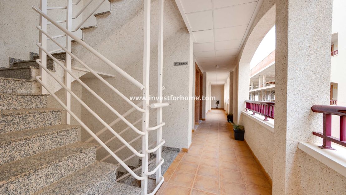 Nouvelle construction - Appartement - San Fulgencio