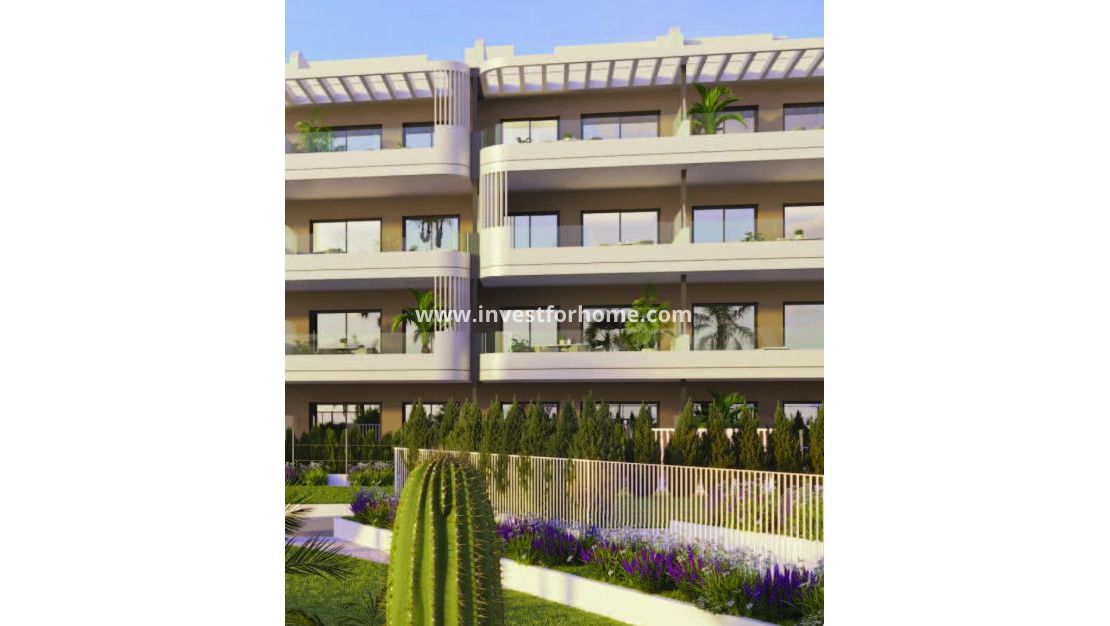 Nouvelle construction - Appartement - Torrevieja - Centro