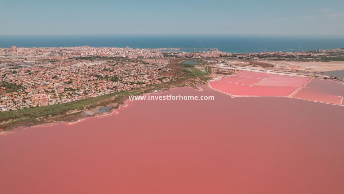 Nouvelle construction - Bungalow - Torrevieja - Centro