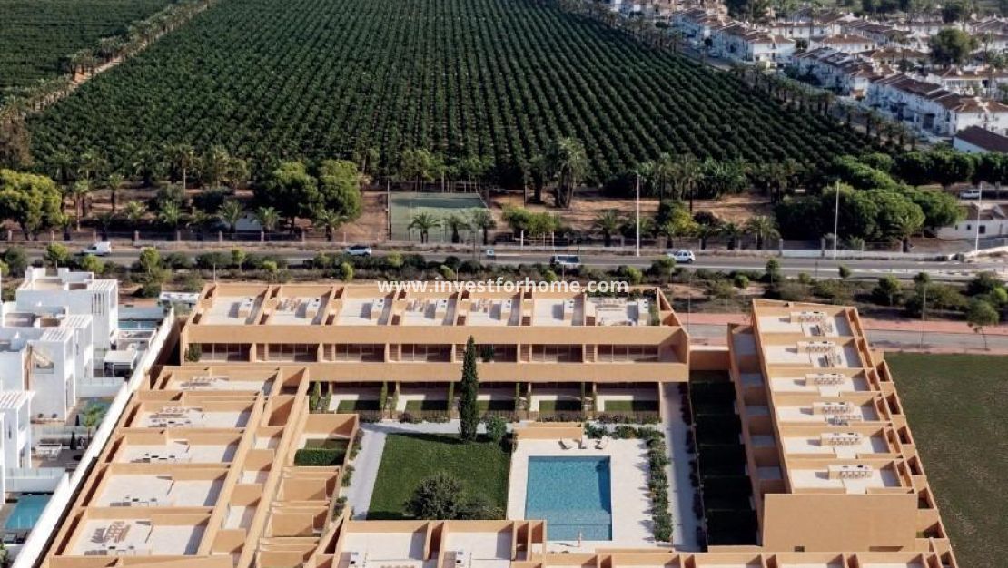 Nouvelle construction - Bungalow - Torrevieja - Los Balcones