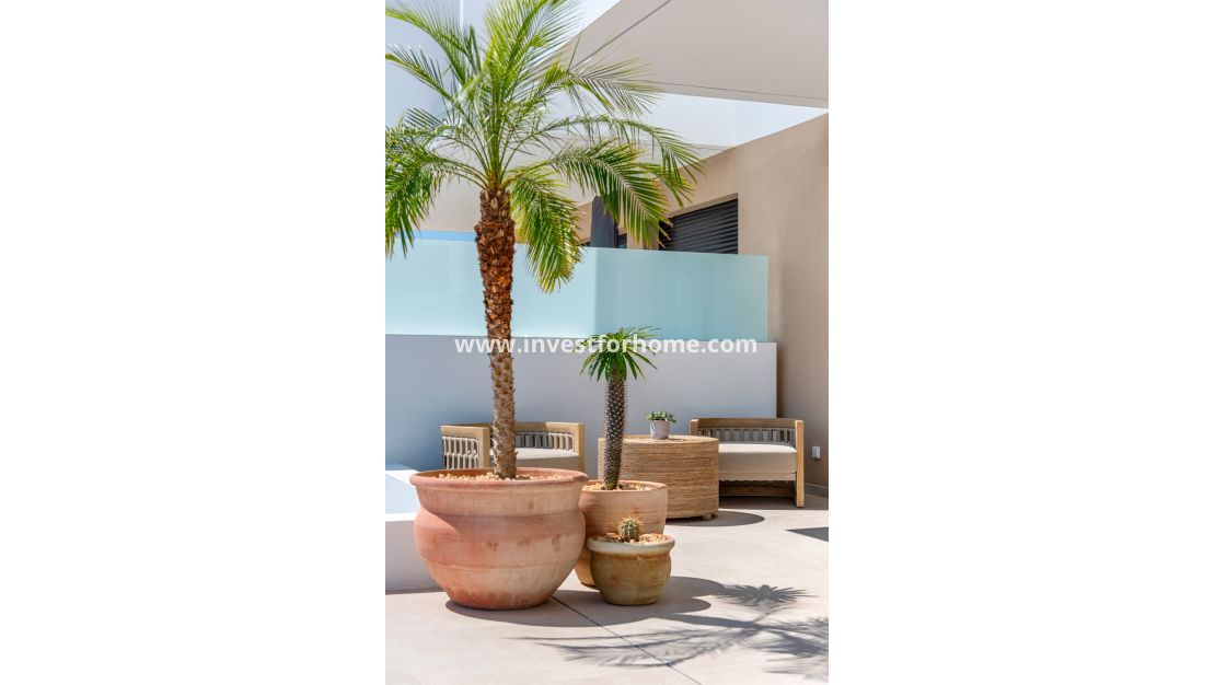 Nouvelle construction - Maison - Dolores