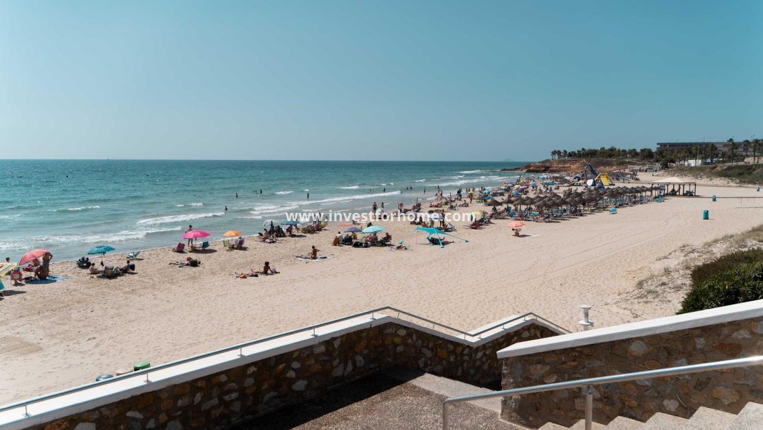 Nouvelle construction - Villa - Pilar de la Horadada - Riomar