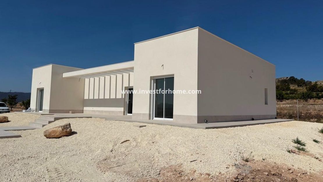 Nouvelle construction - Villa - Pinoso - Camino Del Prado