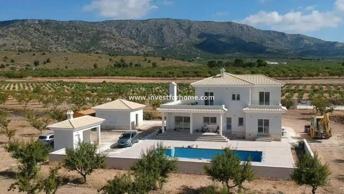 Nouvelle construction - Villa - Pinoso - Camino Del Prado