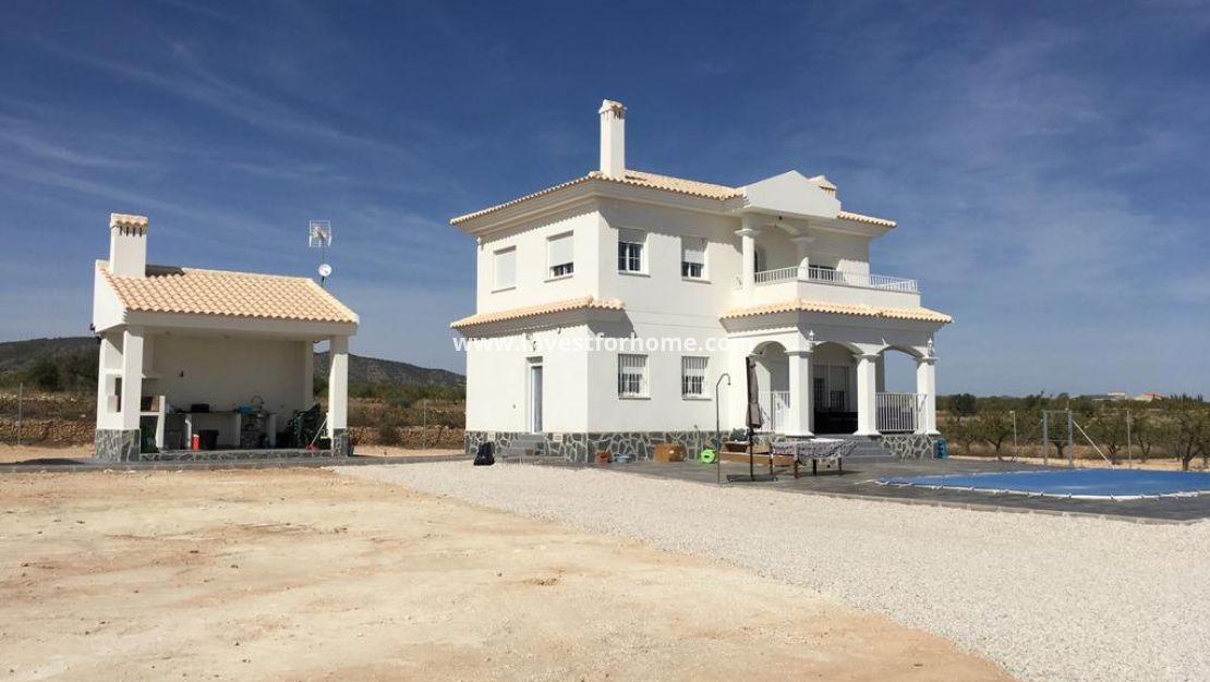 Nouvelle construction - Villa - Pinoso - Camino Del Prado