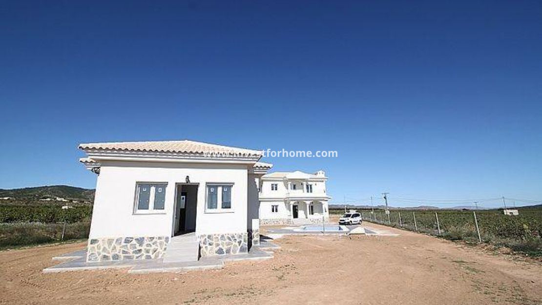 Nouvelle construction - Villa - Pinoso - Camino Del Prado