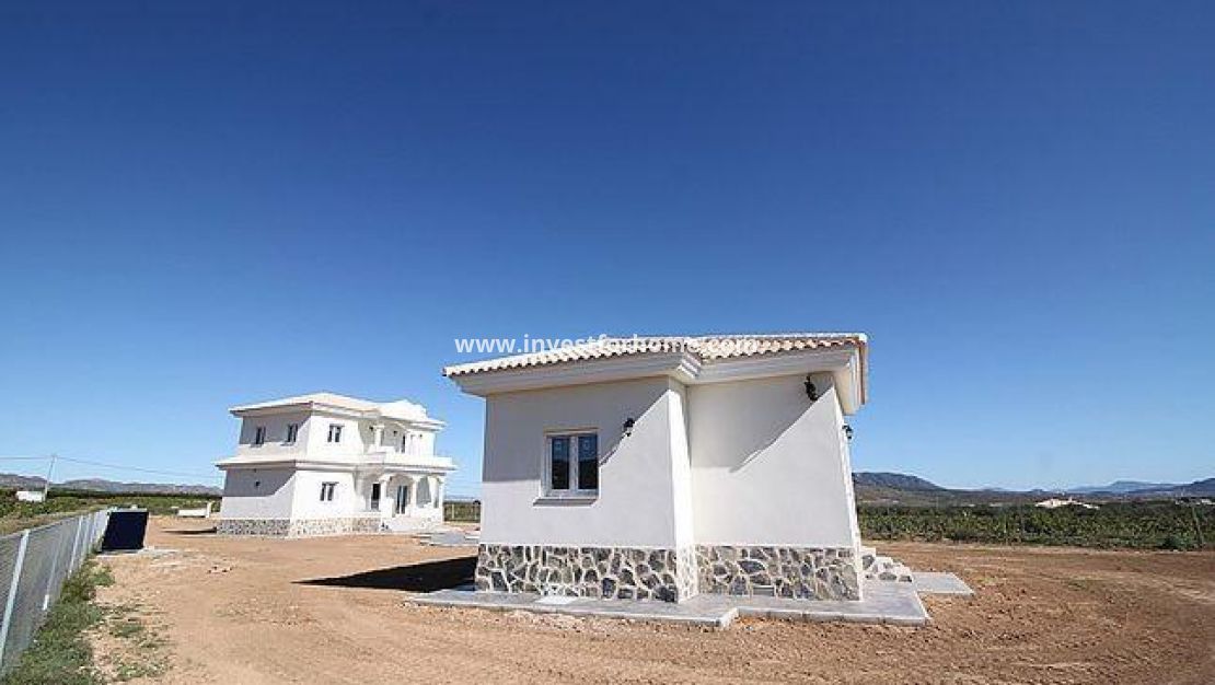 Nouvelle construction - Villa - Pinoso - Camino Del Prado