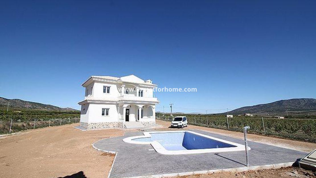 Nouvelle construction - Villa - Pinoso - Camino Del Prado