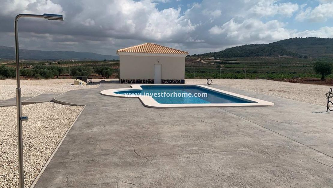 Nouvelle construction - Villa - Pinoso - Camino Del Prado