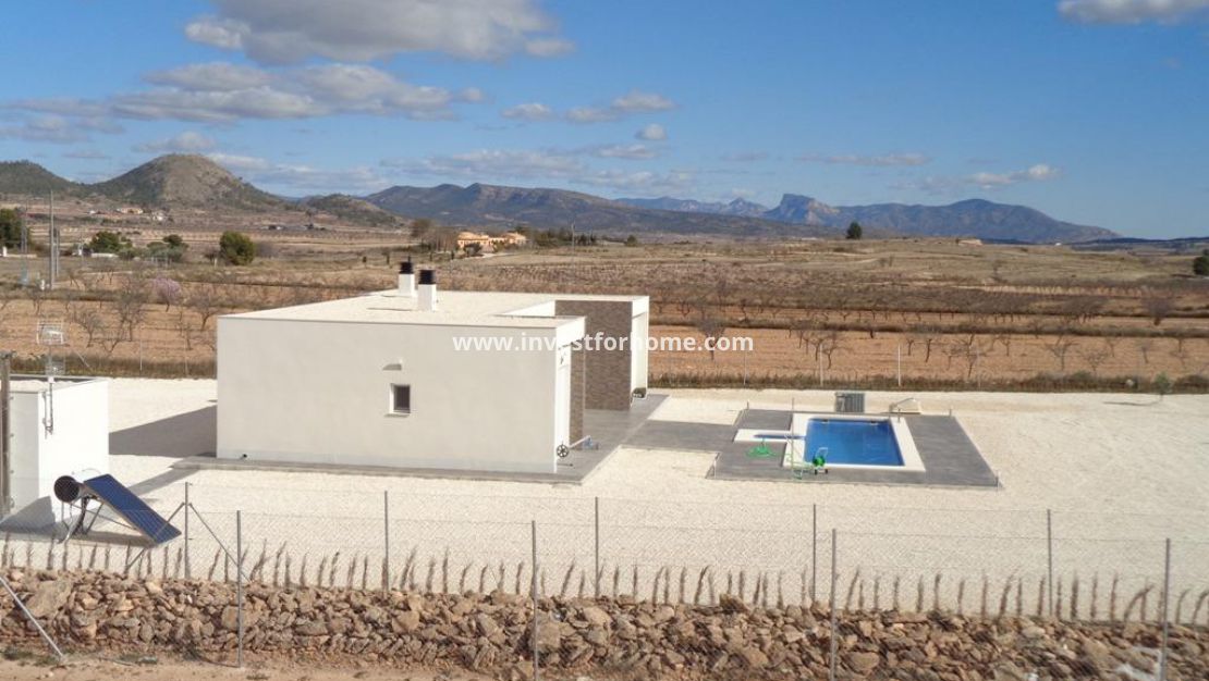 Nouvelle construction - Villa - Pinoso - Camino Del Prado